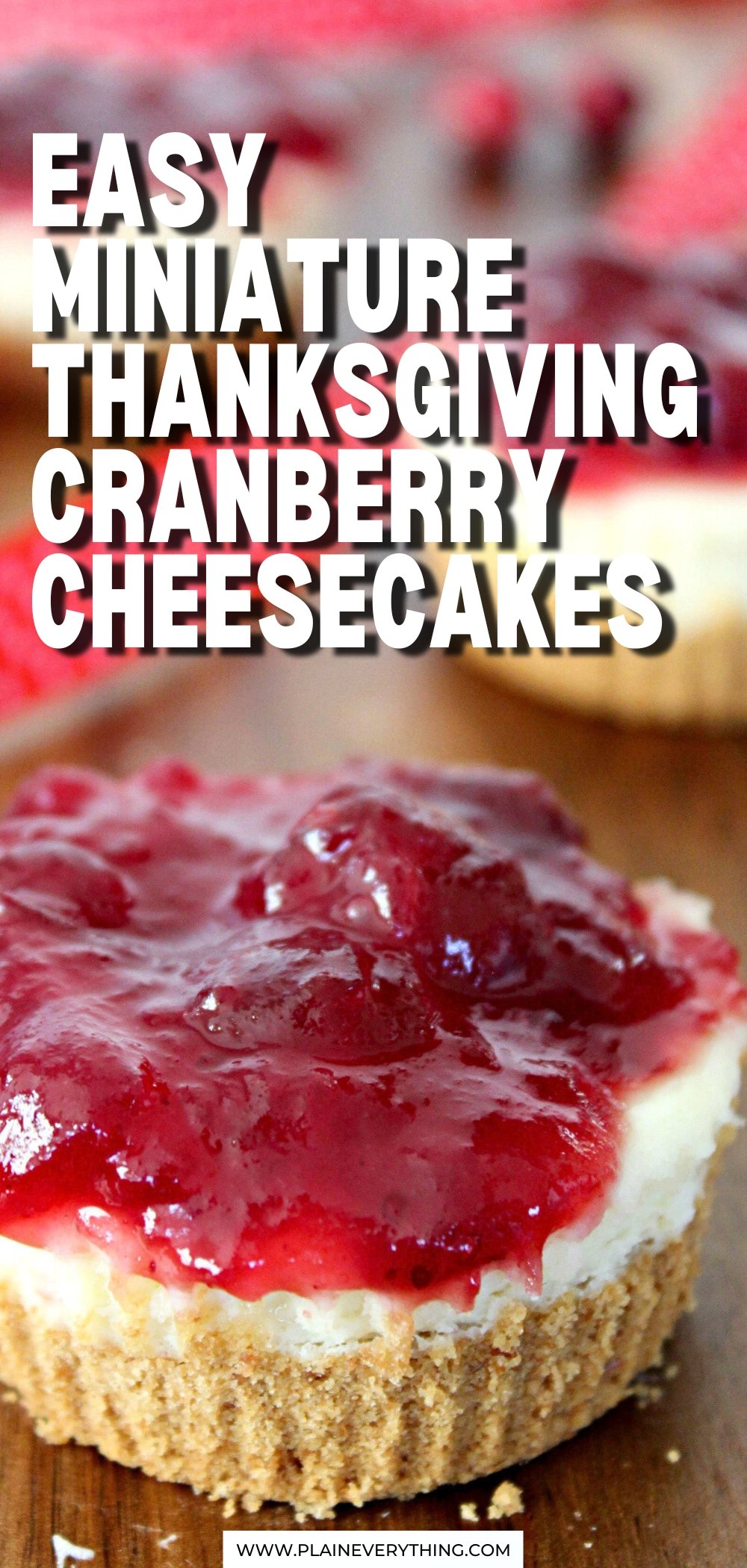 Cranberry Cheesecake Recipe