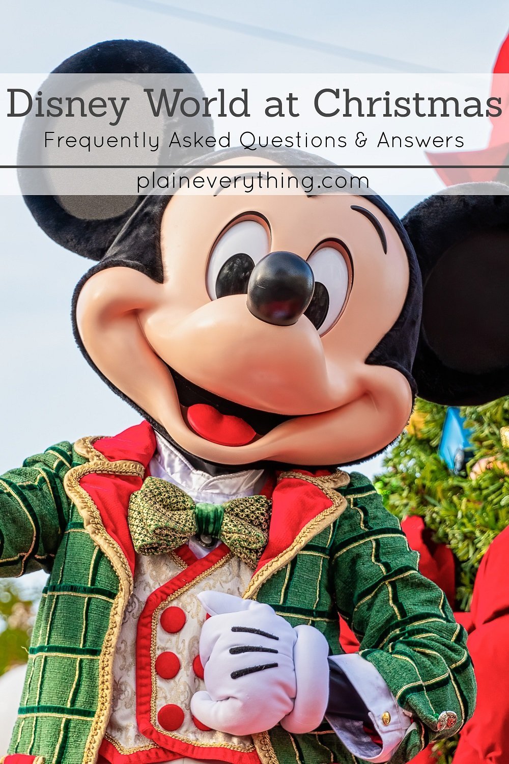 Disney World Christmas Information