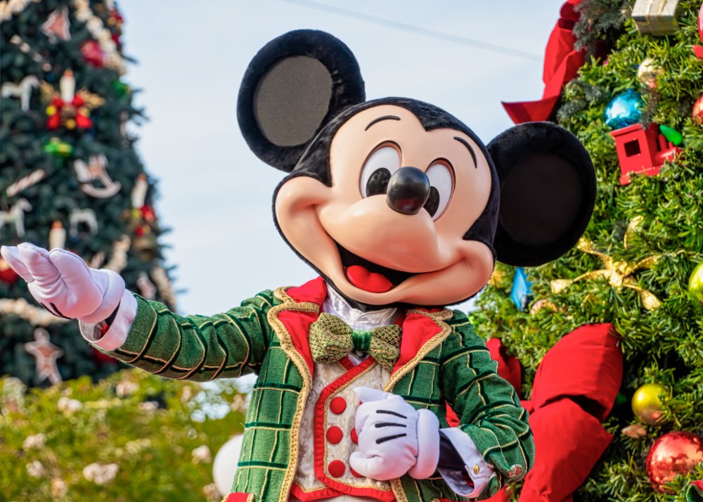 Disney World at Christmas Questions & Answers