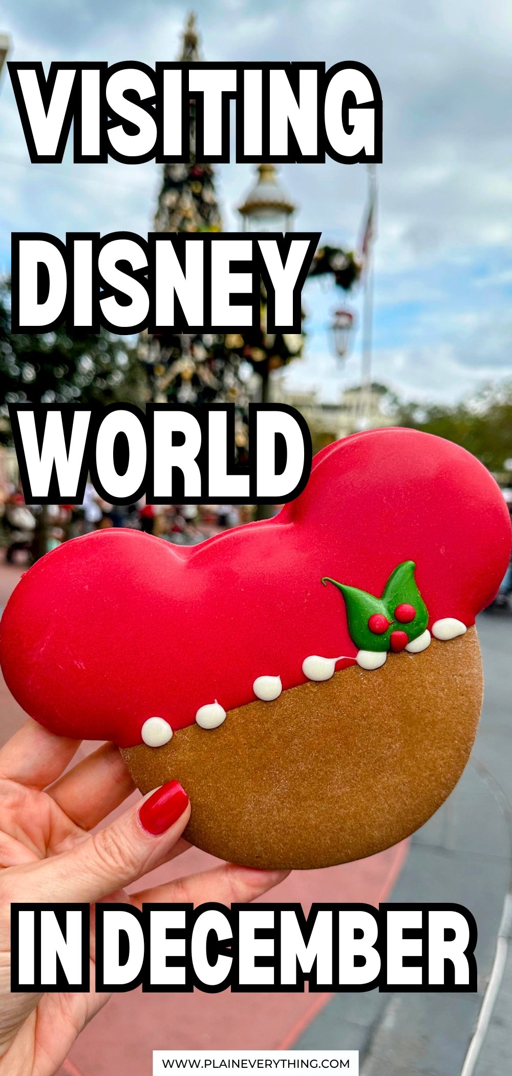 Tips for Visiting Disney World in December