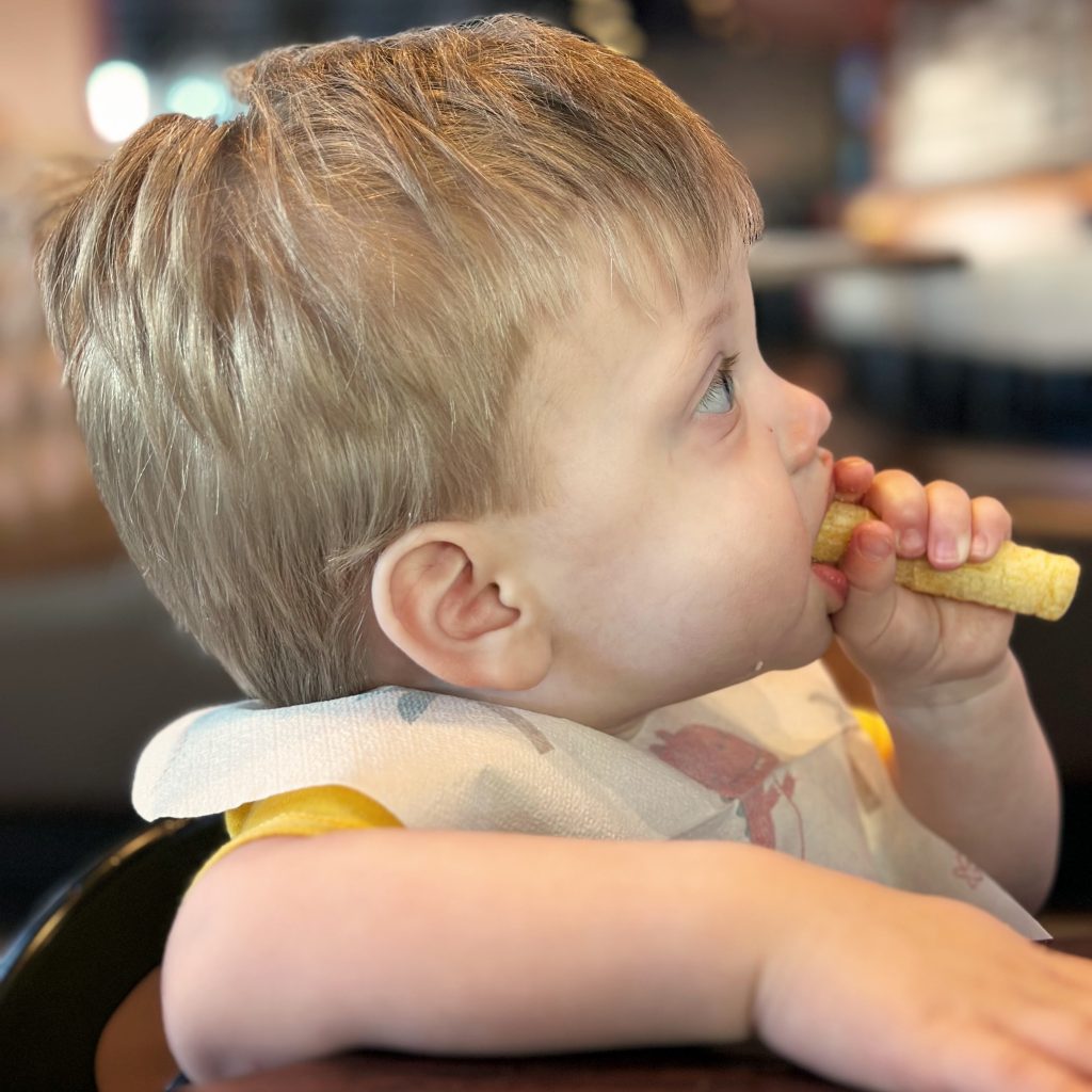 Disposable Baby Bibs for Traveling to Disney