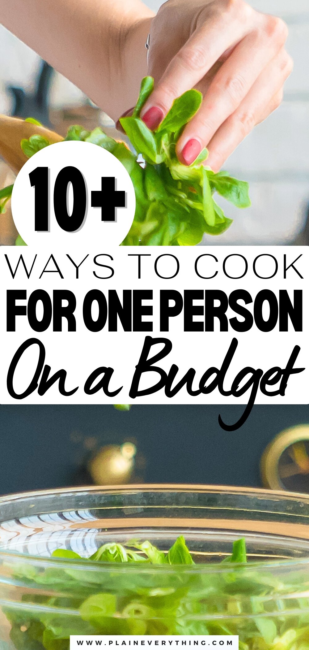 How to Cook For One A Budget