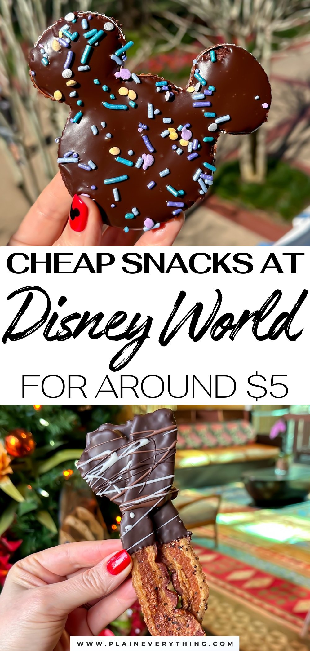 Cheap Snacks at Walt Disney World