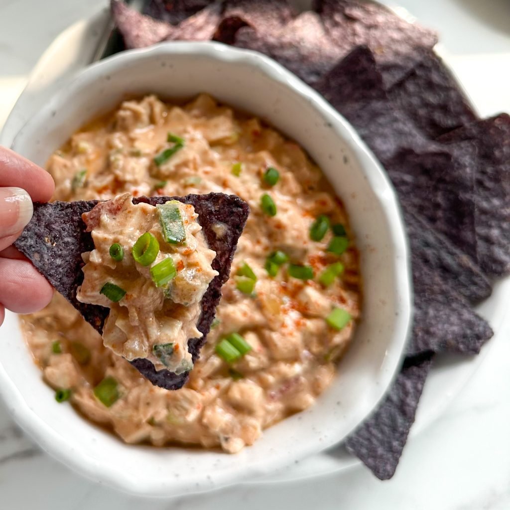 High Protein Chicken Dip