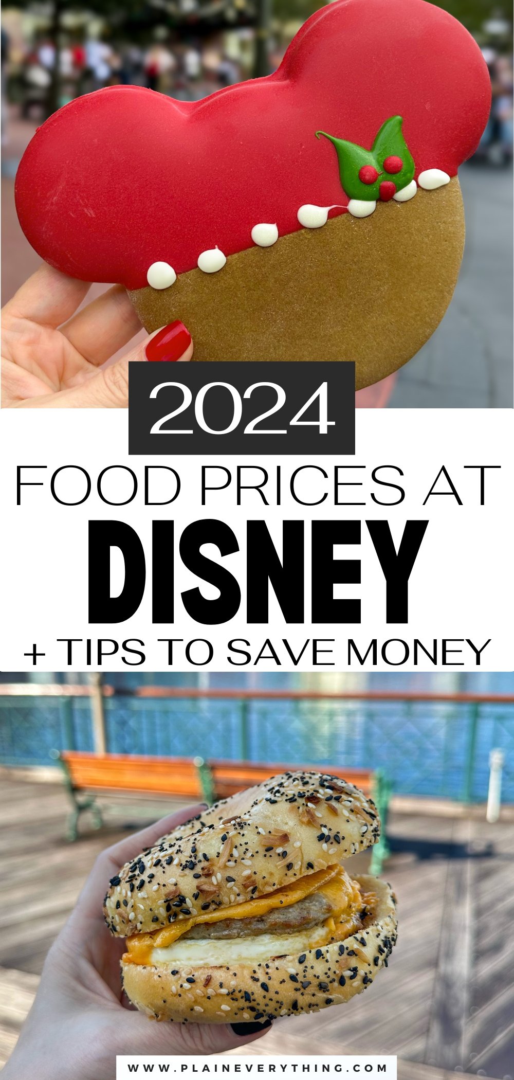 Ways You Can Save Money On Disney World Food