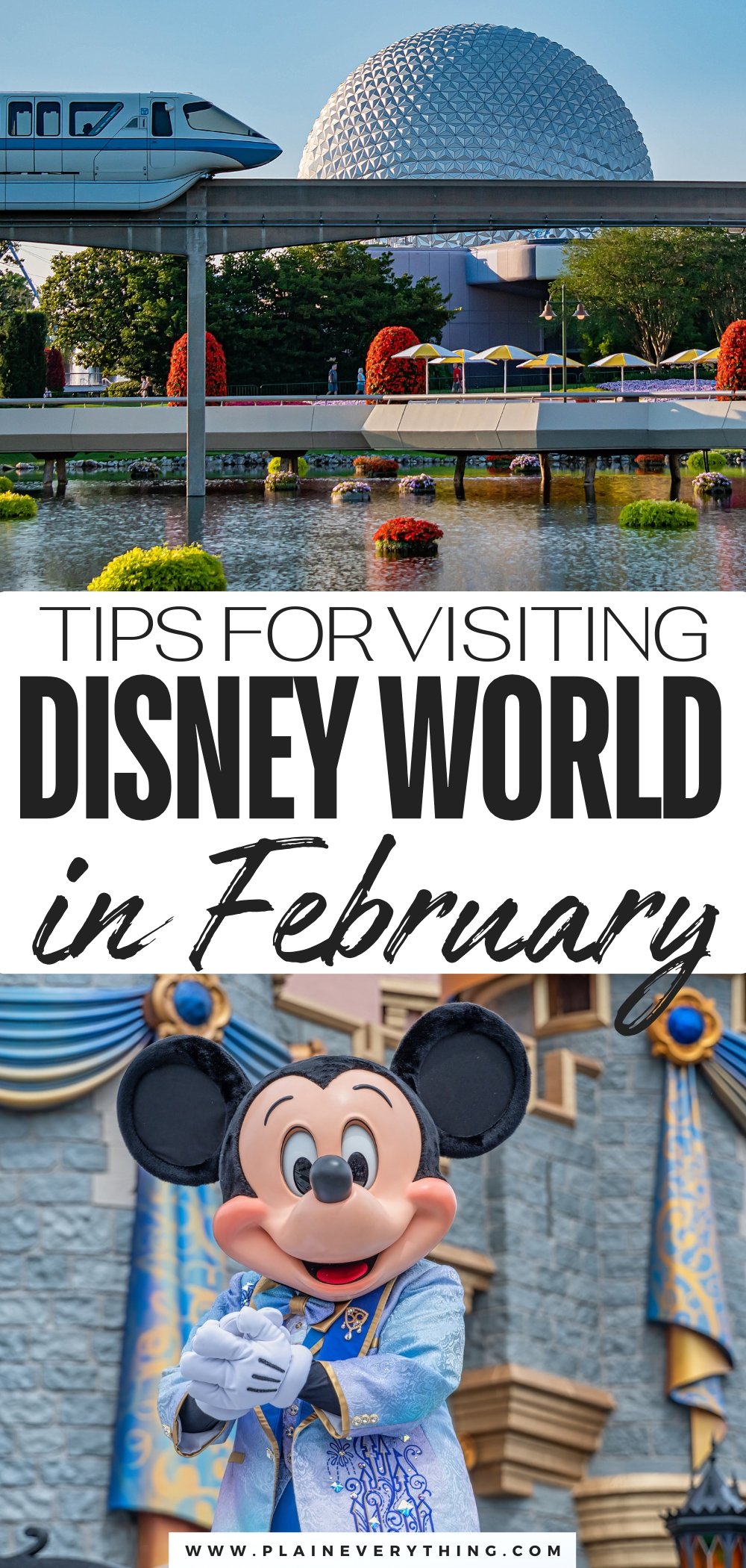 Planning A Trip To Walt Disney World In February