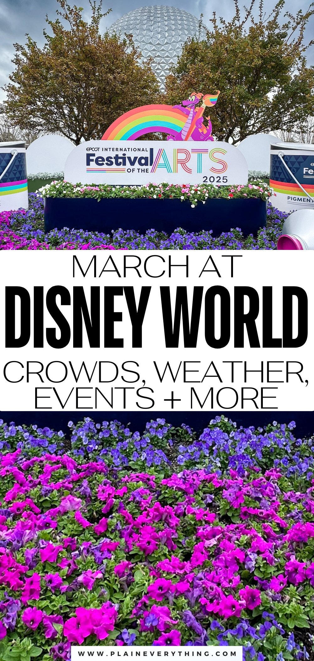 Visiting Disney World In March