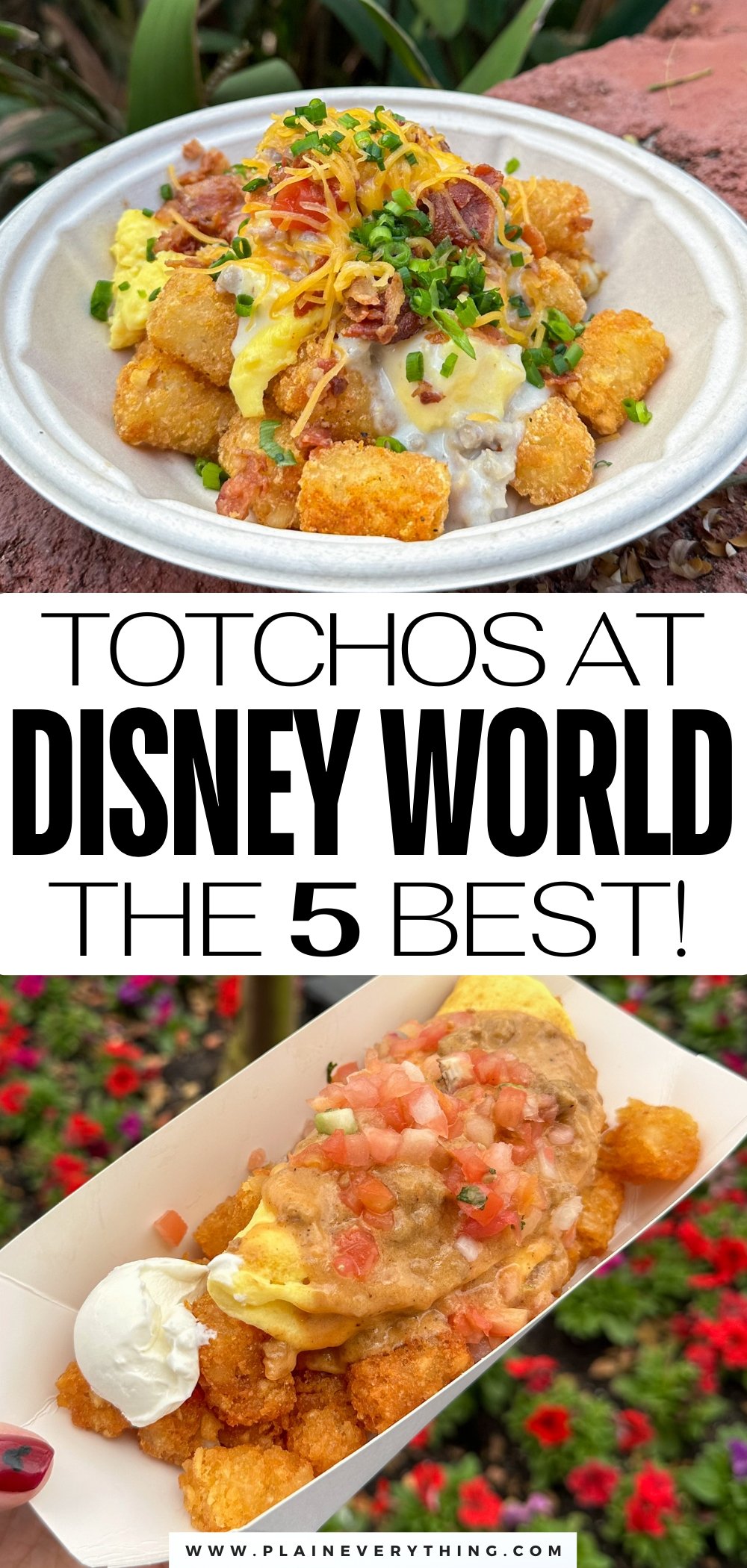 Totchos At Disney World