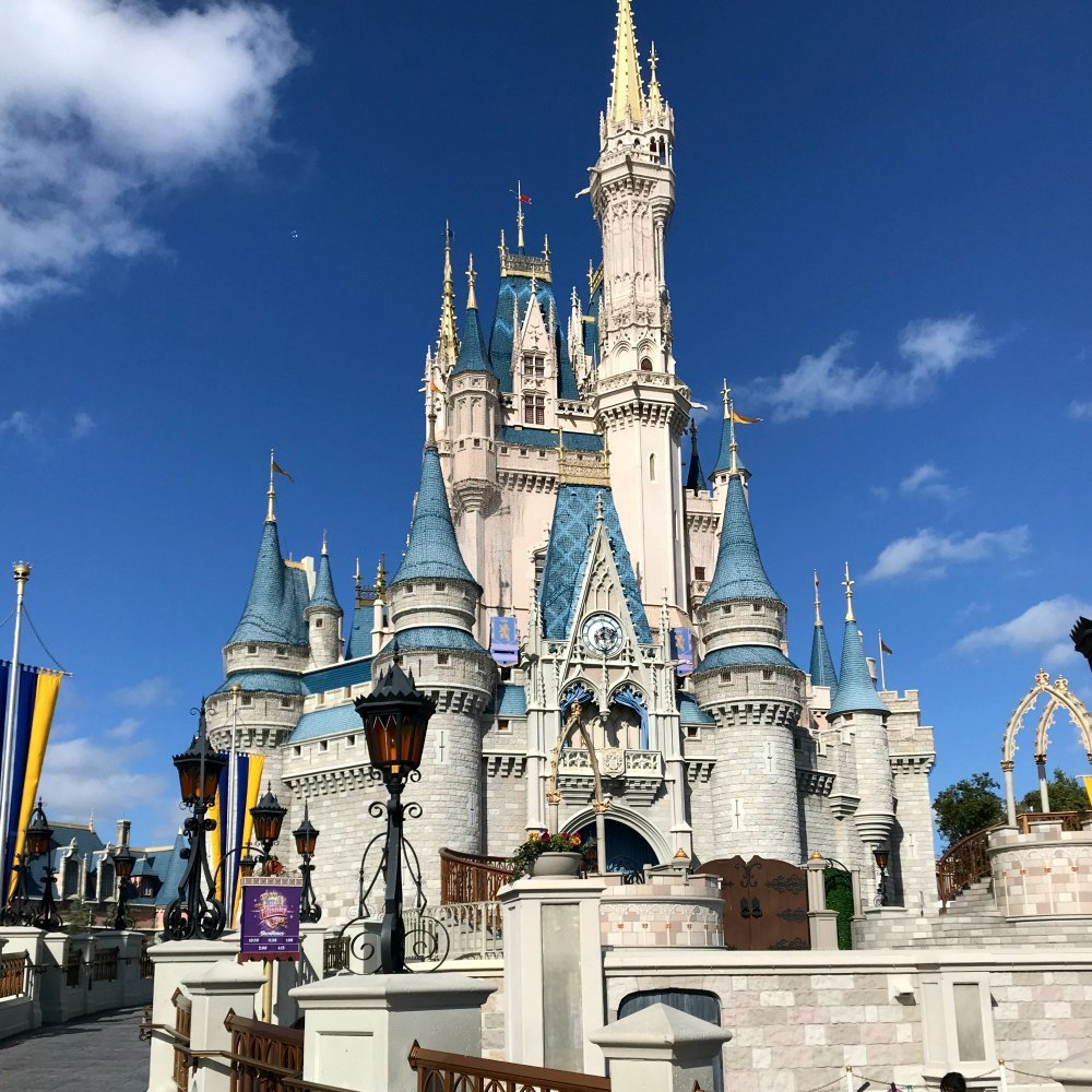 Disney Princess Castle In Disney World