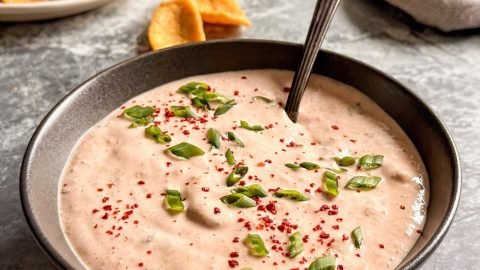 salsa sour cream dressing 2 Ingredient Salsa Sour Cream Dip