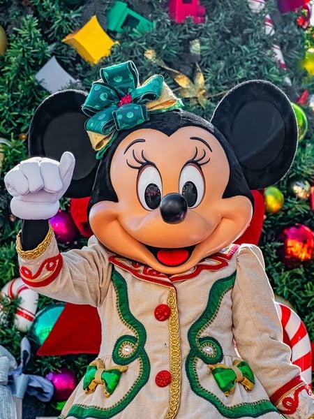 Disney World in November