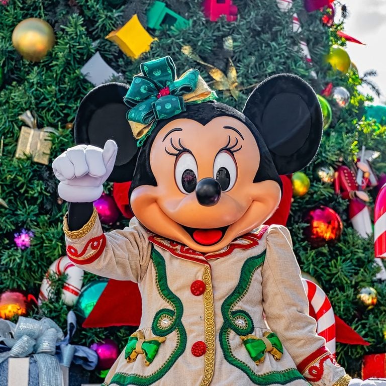 Disney World in November