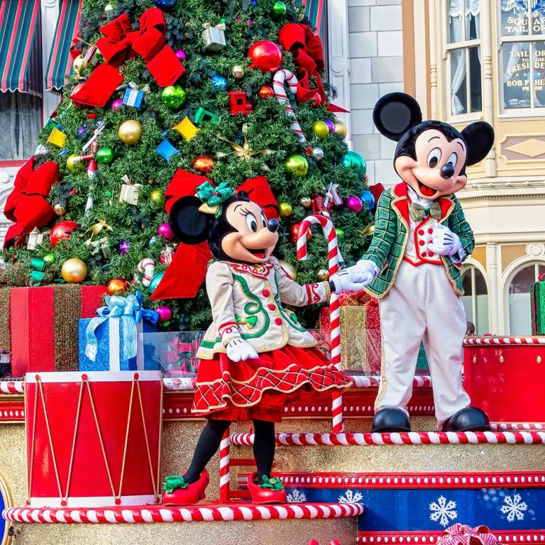 Disney World at Christmas