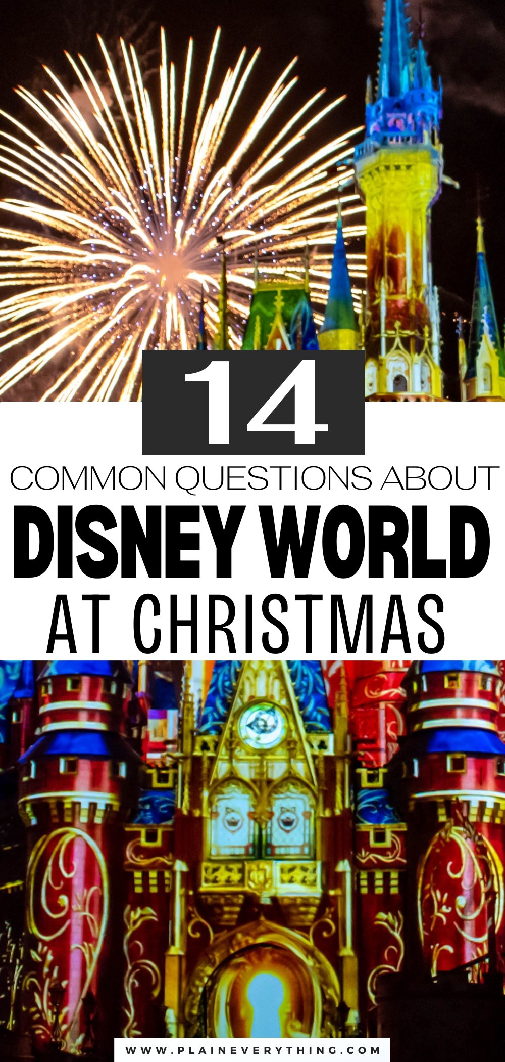 Walt Disney World at Christmas