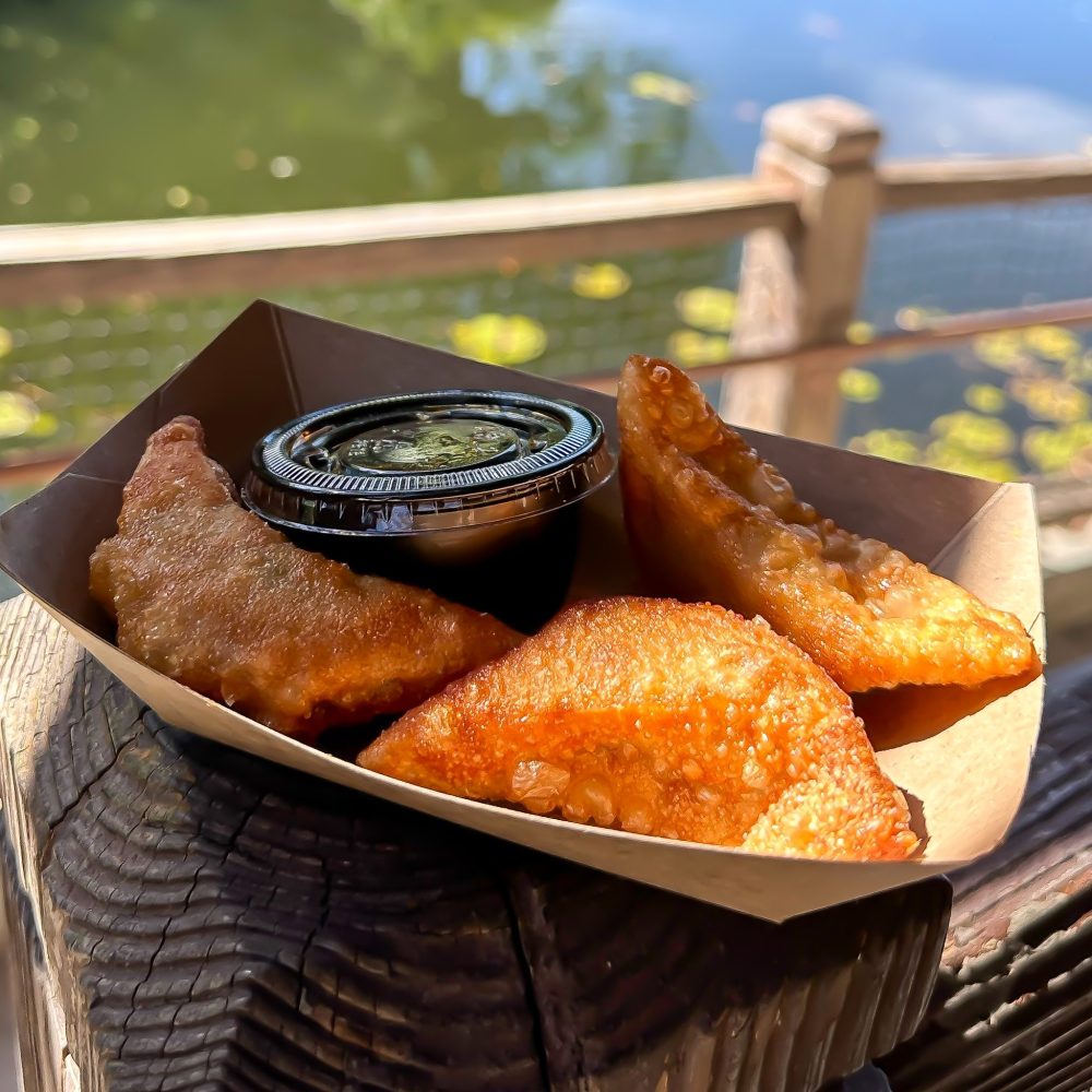 Chicken Dumplings Mr. Kamal’s