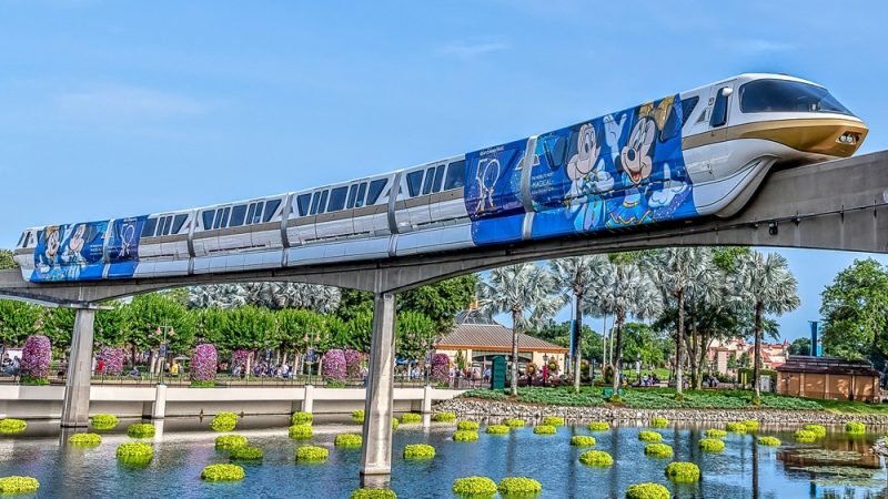 Disney World In March