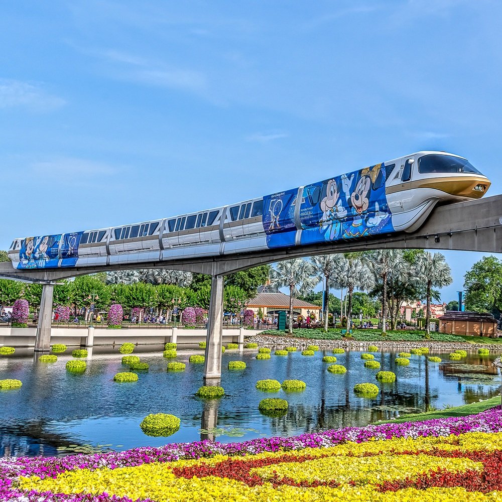 Disney World In March