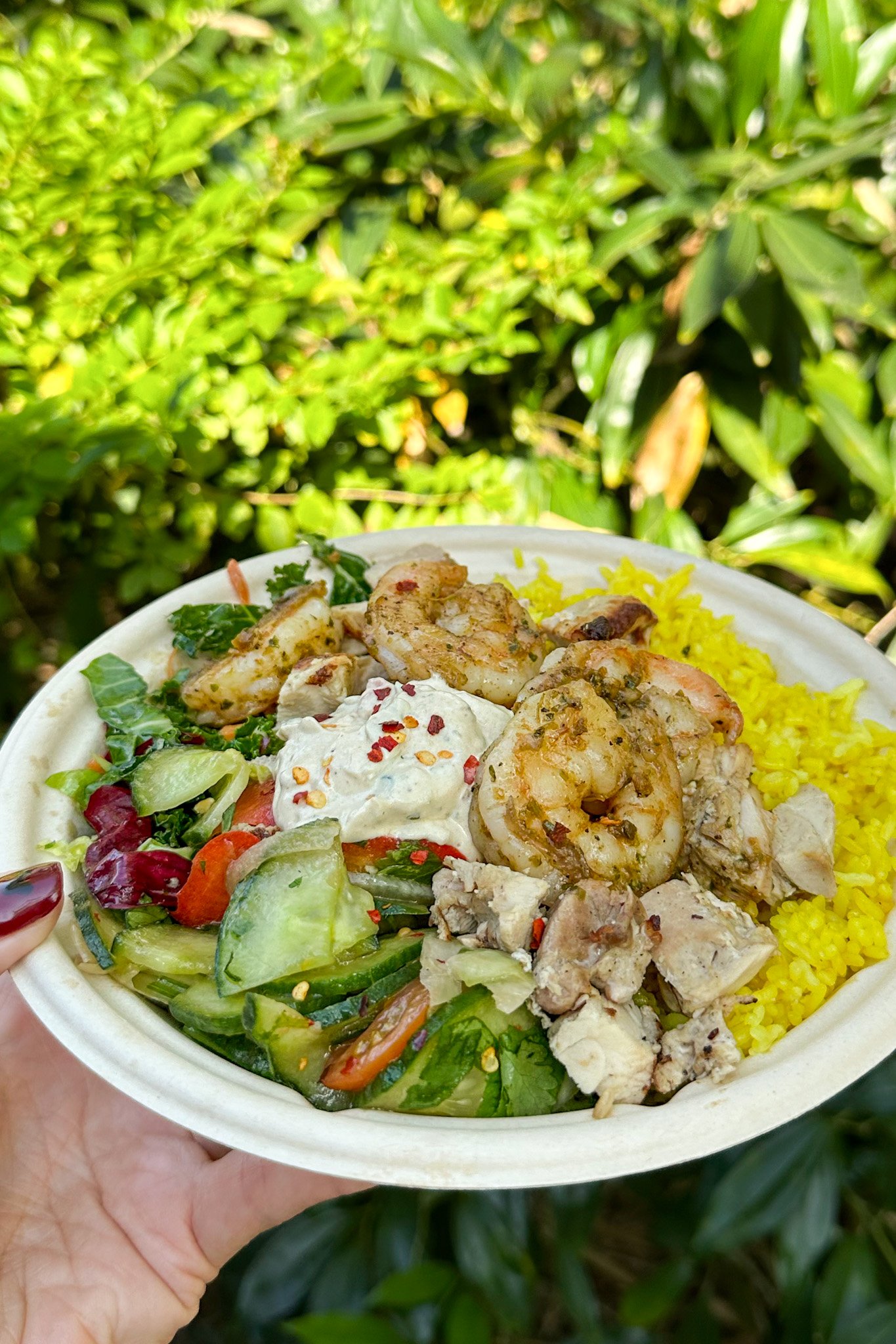 Combination Shrimp Chicken Bowl The Mara Animal Kingdom Lodge