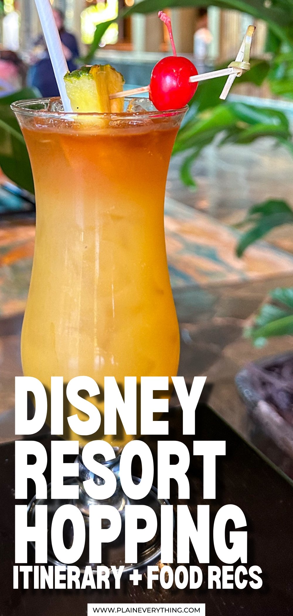 Resort Hopping At Disney World Monorail Route