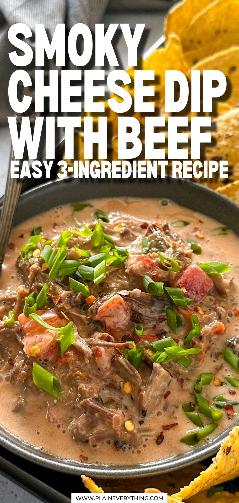 Smoky Cheese Dip With Leftover Shredded Beef