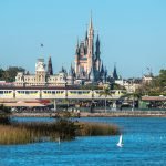 Renting a Pontoon Boat at Disney World