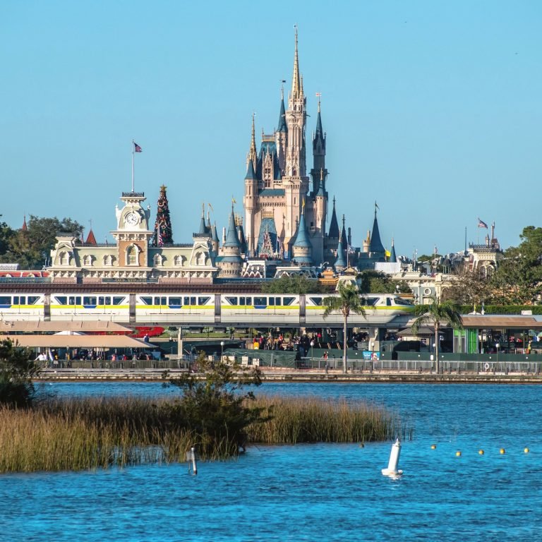 Renting a Pontoon Boat at Disney World