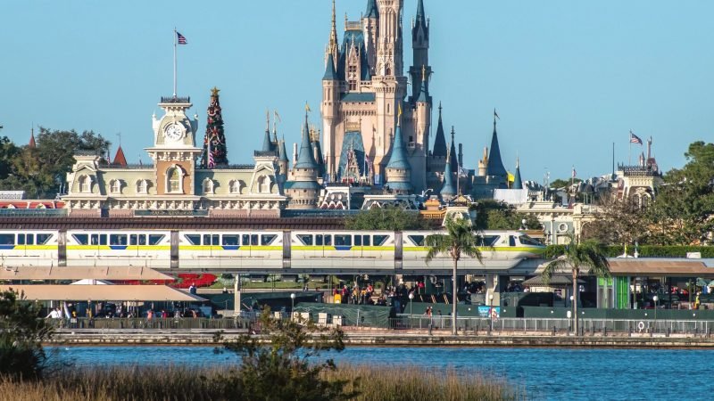 Renting a Pontoon Boat at Disney World