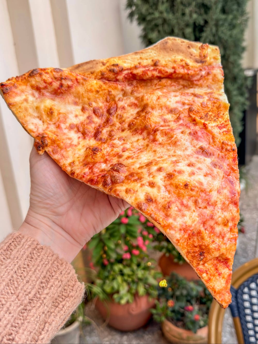 Big Roman at Pizza Ponte Disney Springs
