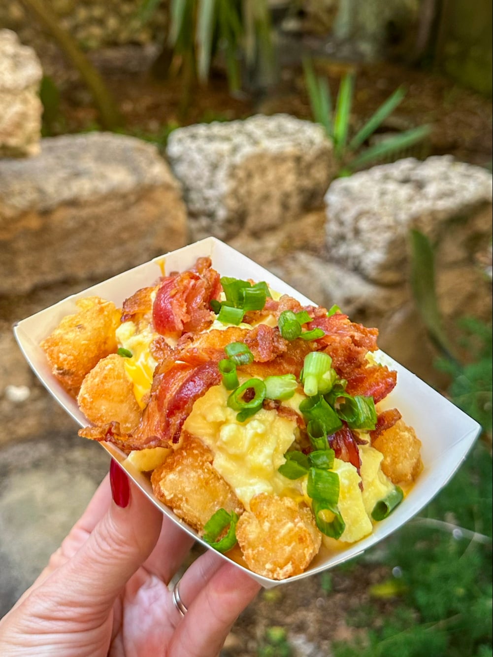 Breakfast Totchos Kusafiri Coffee Shop & Bakery Animal Kingdom