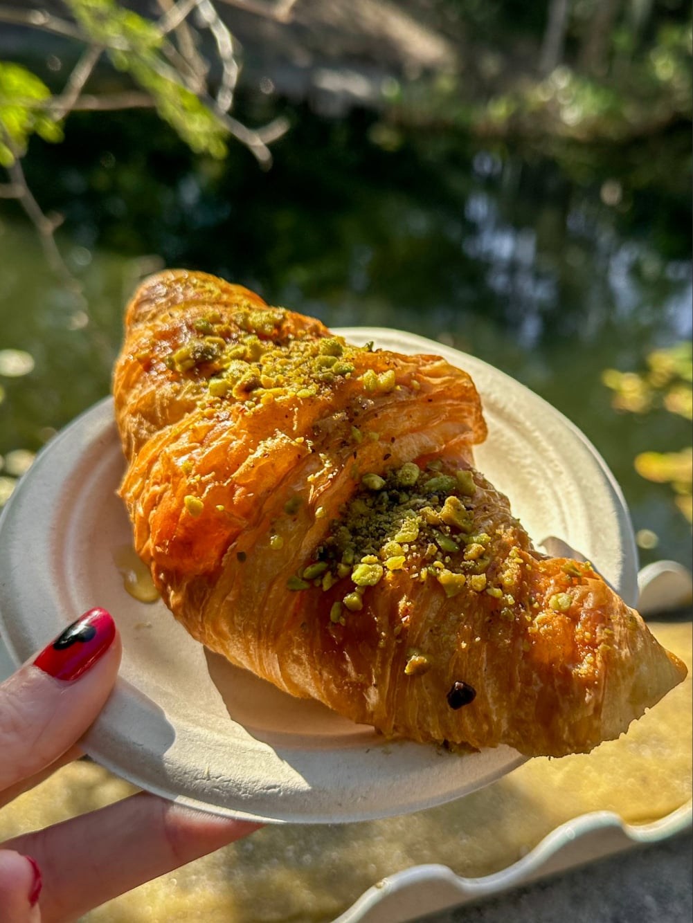 Pistachio Honey Croissant Tamu Tamu Refreshments Animal Kingdom